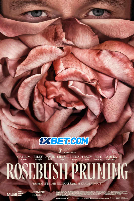 Rosebush Pruning (2026)
