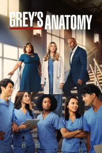 Grey's Anatomy Season 22 (2005)