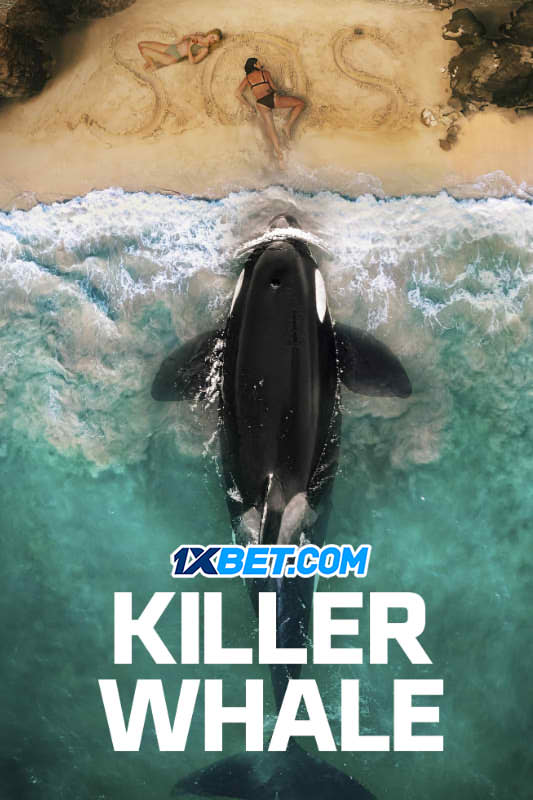 Killer Whale (2026)