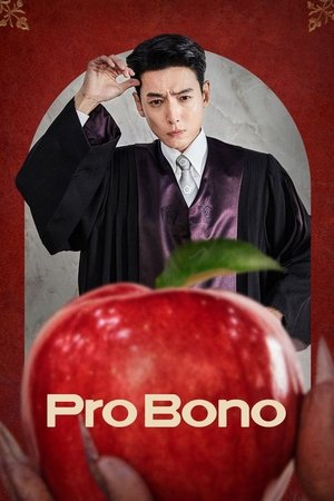 Pro Bono Season 1 (2025)